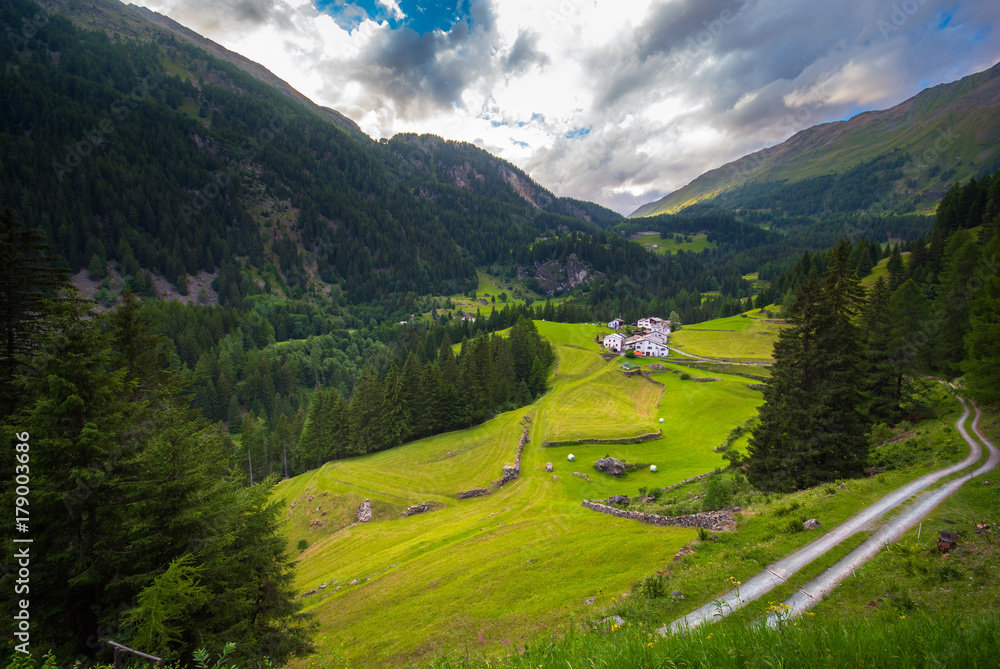 Summer mountain landscape, Switzerland
