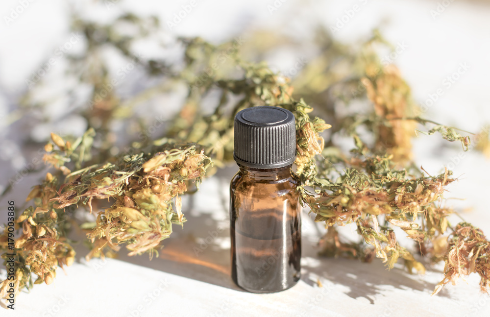 Tutsan Dry Medical Herb Essential Oil Spa Phytotherapy Aromatherapy Alternative Medicine Copy Space Selective Focus Tutsan Dry Medical Herb Essential Oil Spa Phytotherapy Aromatherapy Alternative Medicine Copy Space Selective Focus