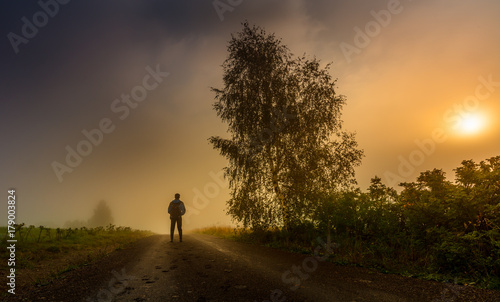 Silhouette of man and tree in the morning fog