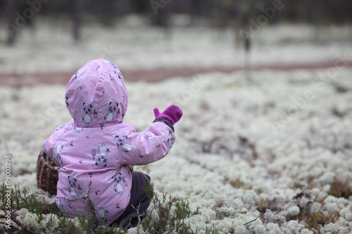 The little girl lost in the woods. Child among large dark pine trees. The child looks out of the bushes. Forest after rain. photo