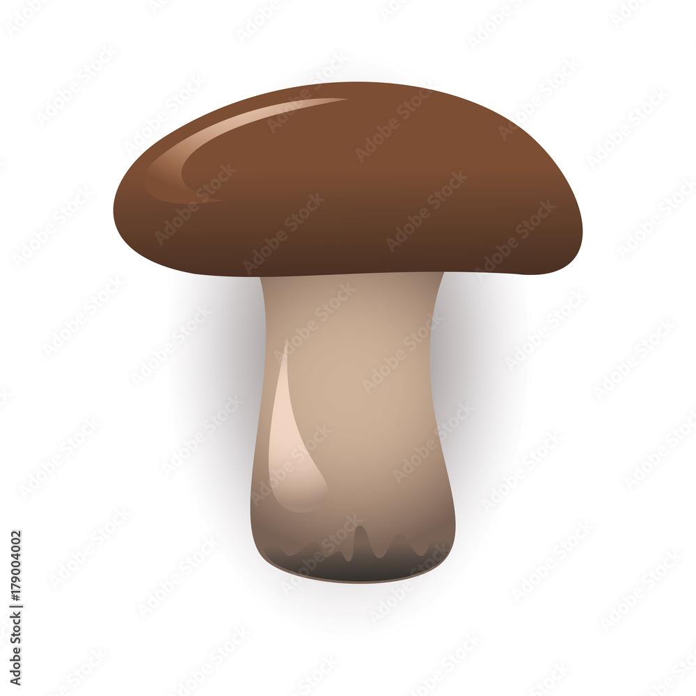painted edible mushroom on a white background painted edible mushroom on a white background