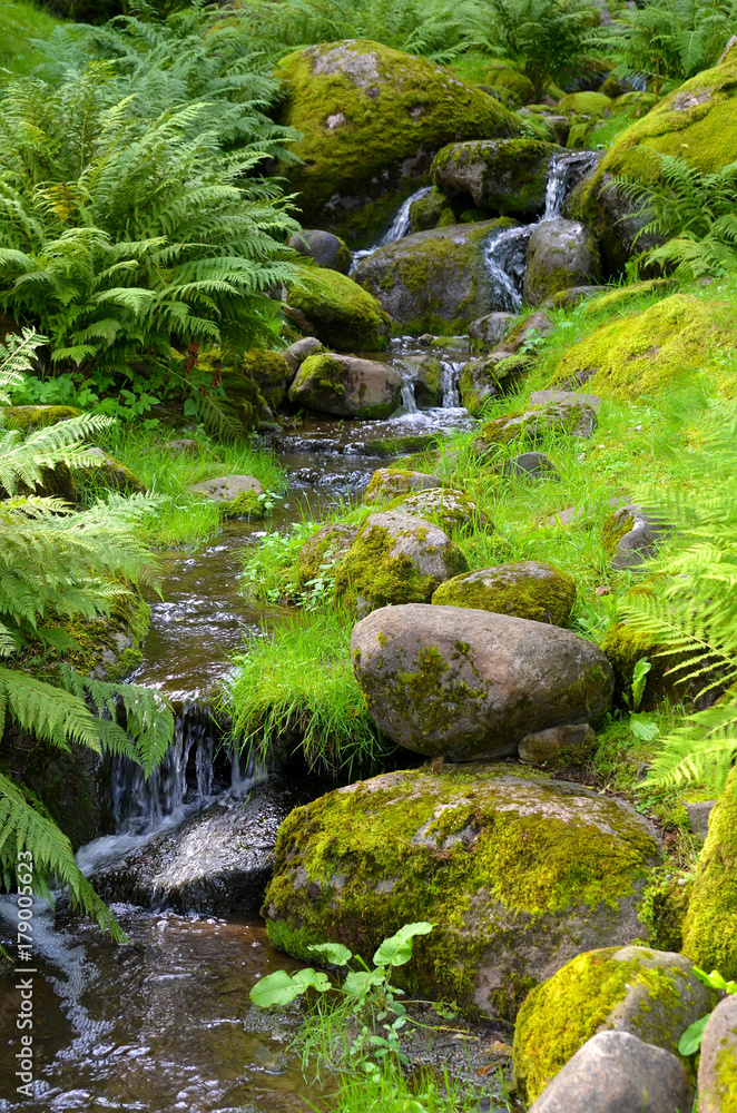 Small cascade of clean water in the park Small cascade of clean water in the park