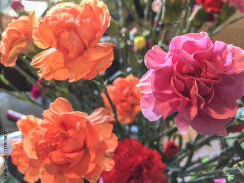 Beautiful bouquet of carnation flowers