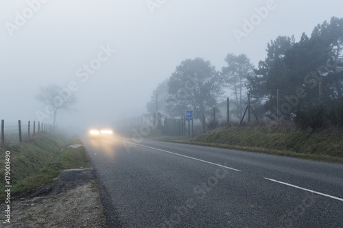 Country asphalt road passing through the forest and fields in the region of Normandy, France. Rural landscape in foggy day. Car headlights at night. Toned