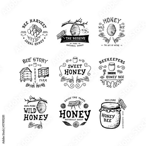 Set of badge Honey. Hand drawn bee, flower, hive, glass jar. Label logo template. Design fashion apparel print. Graphic vintage illustration.
