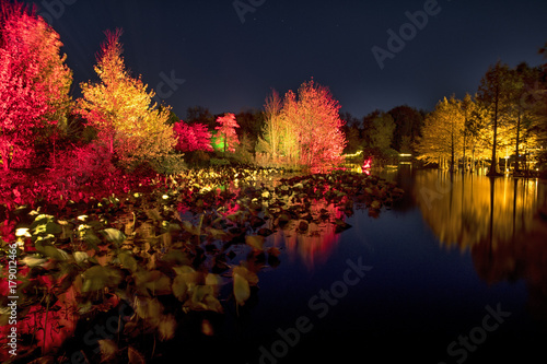 illuminated autumn park  © gerckens.photo