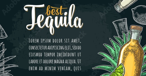 Horizontal poster with glass, bottle, salt, agave, lime