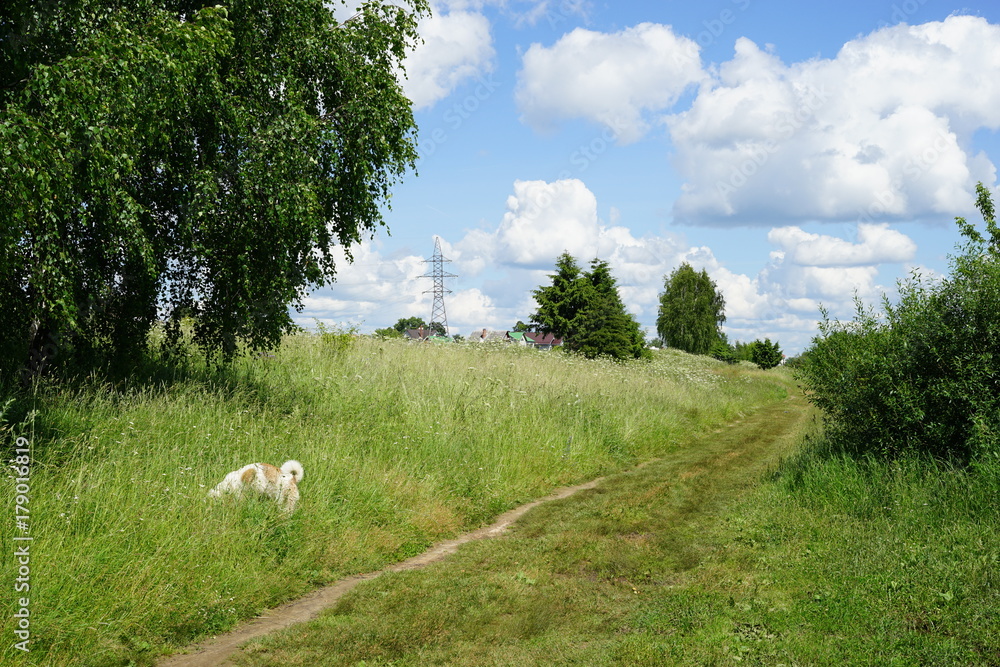 Obraz premium village