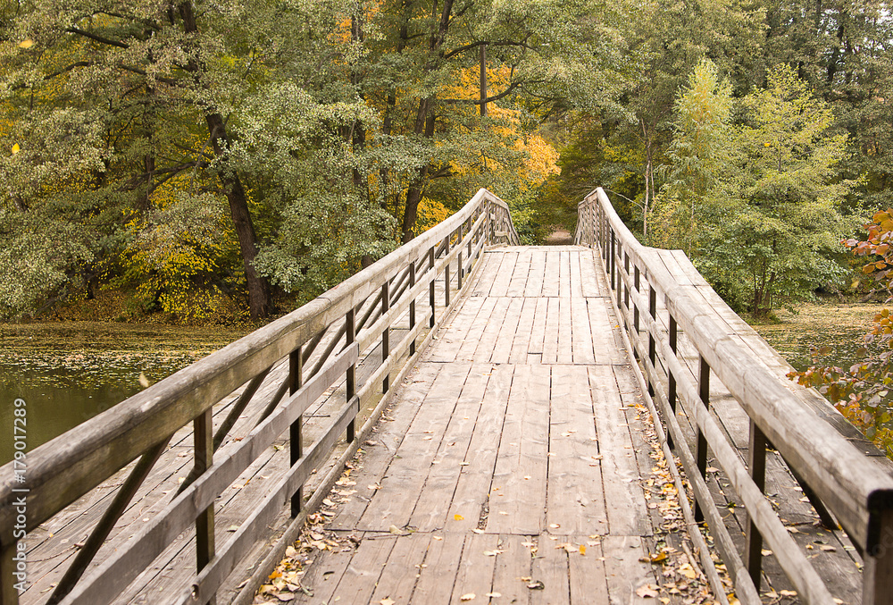 Wooden bridge though the lake. Fall forest behind the lake.