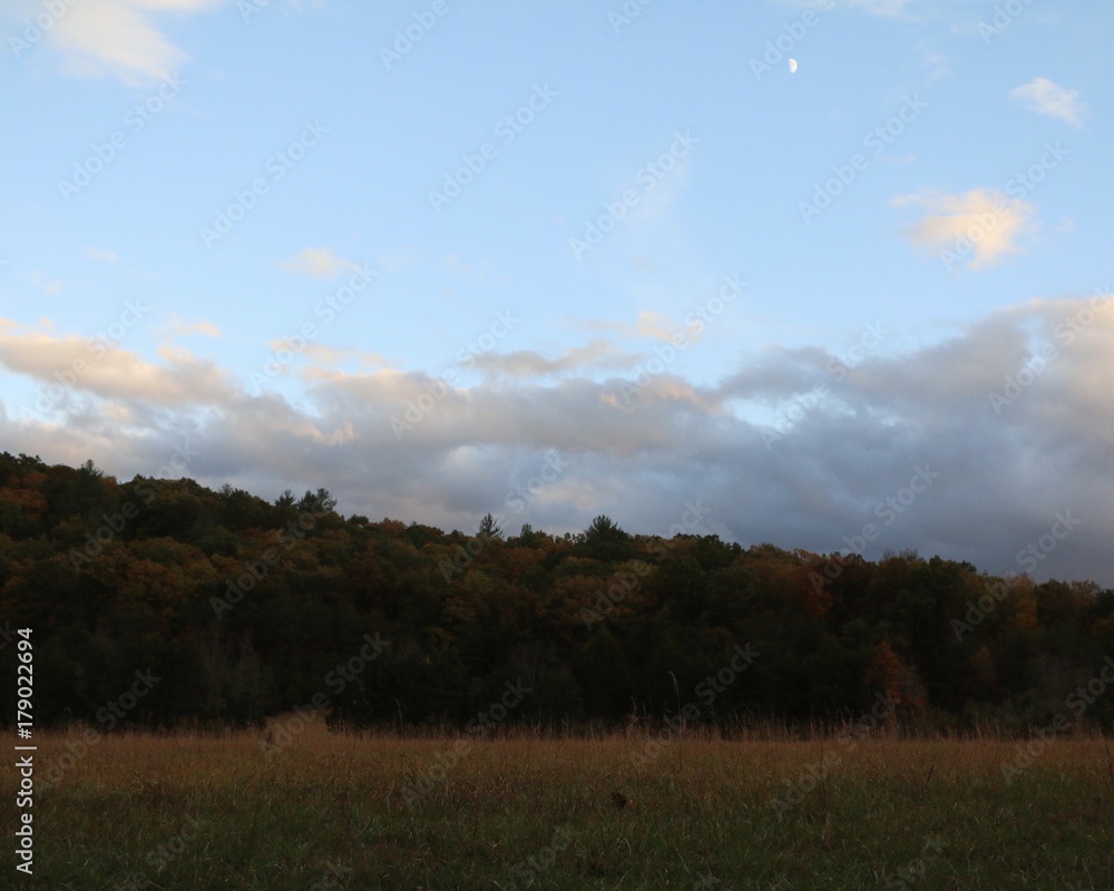 Autumn Romance Autumn Romance