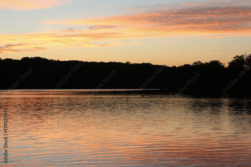 Obraz premium Painted