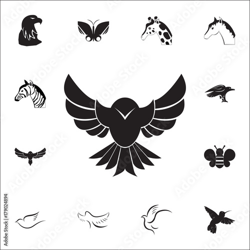 Hawk icon. Set of animal icons. You can use in web or app icons