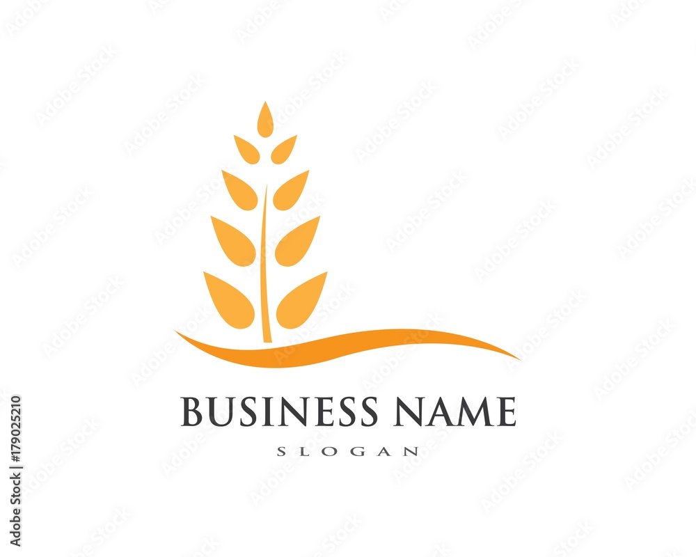 wheat Logo Template wheat Logo Template