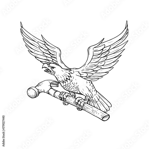 Eagle Clutching Hammer Drawing