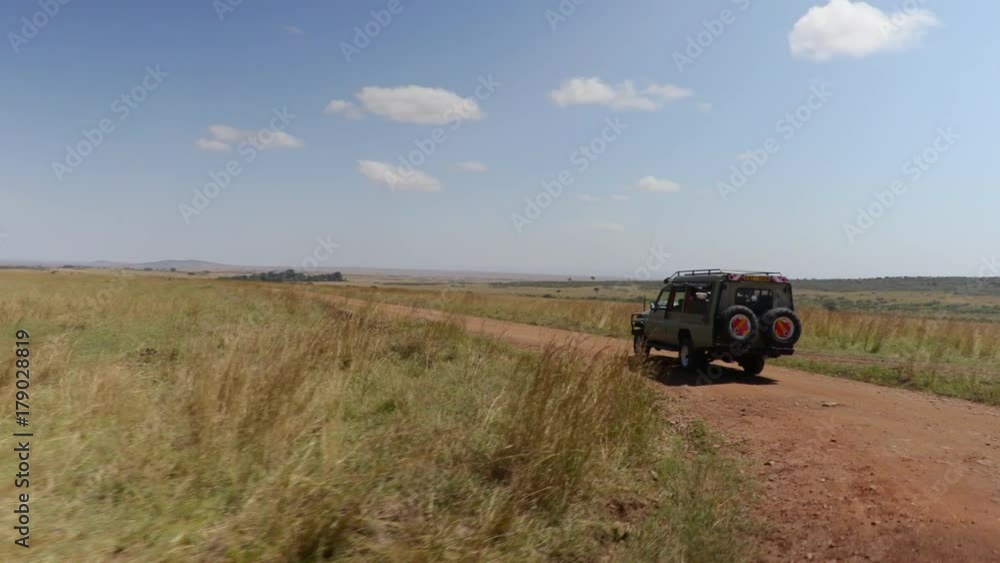 Gimbal shot through the plains of Maasai Mara National Reserve, Kenya, Africa Gimbal shot through the plains of Maasai Mara National Reserve, Kenya, Africa