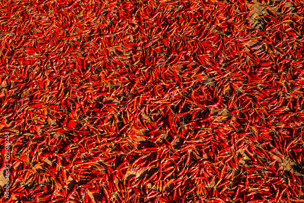 Fototapeta premium chili