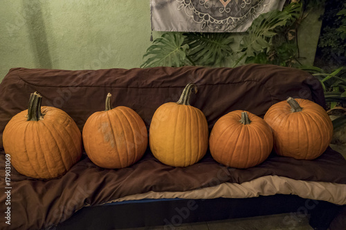 Five pumpking sit on a sofa photo