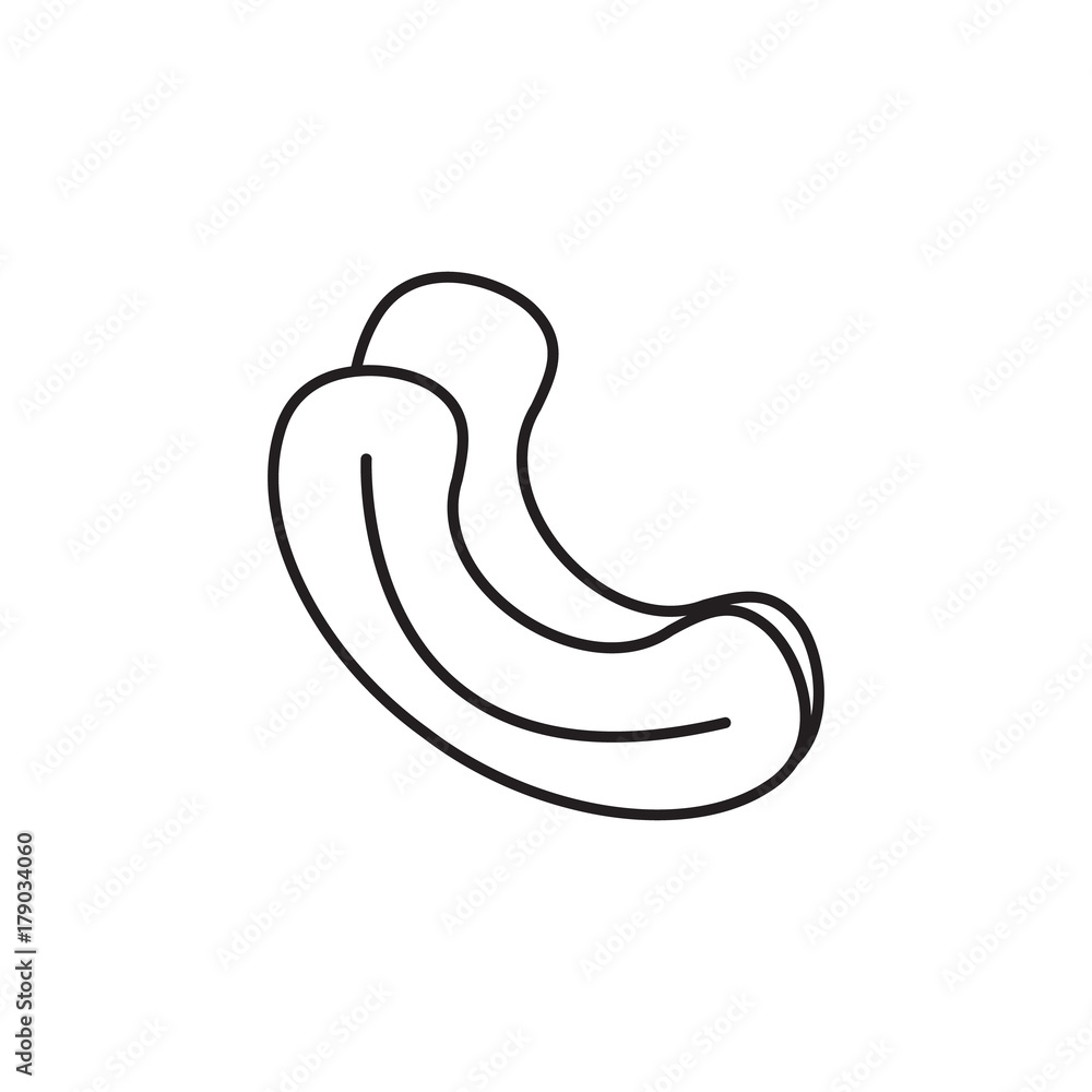 Vector Cashew nut icon. Farm fruit element. Premium quality graphic design. Signs, outline symbols collection, simple thin line icon for websides, web design, mobile app, infographics Vector Cashew nut icon. Farm fruit element. Premium quality graphic design. Signs, outline symbols collection, simple thin line icon for websides, web design, mobile app, infographics