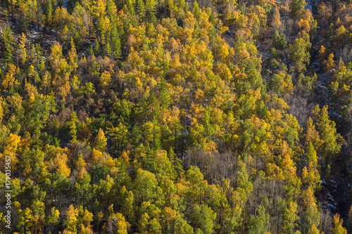 Views of the Altai Mountains in autumn, Altai Republic, Russia.