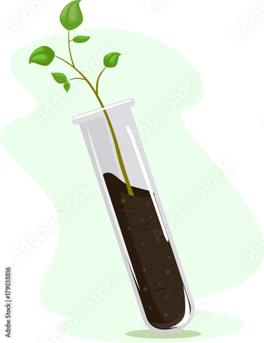 Test Tube Plant Illustration
