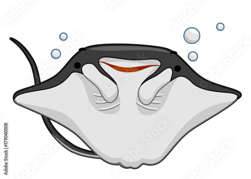 Manta Ray Illustration