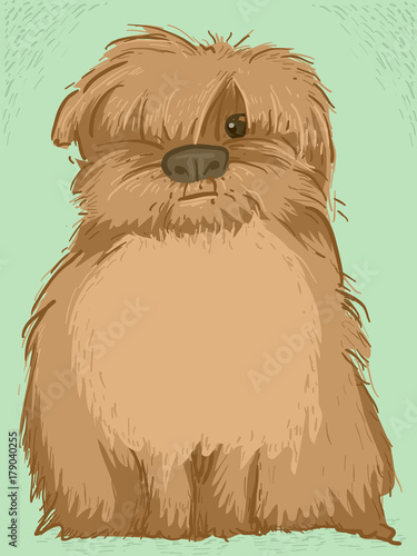Fluffy Dog Copyspace