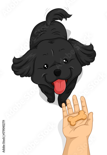 Dog Hand Treat Biscuit
