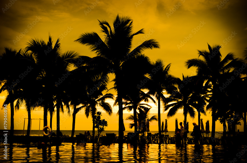 coconut palm trees silhouette
