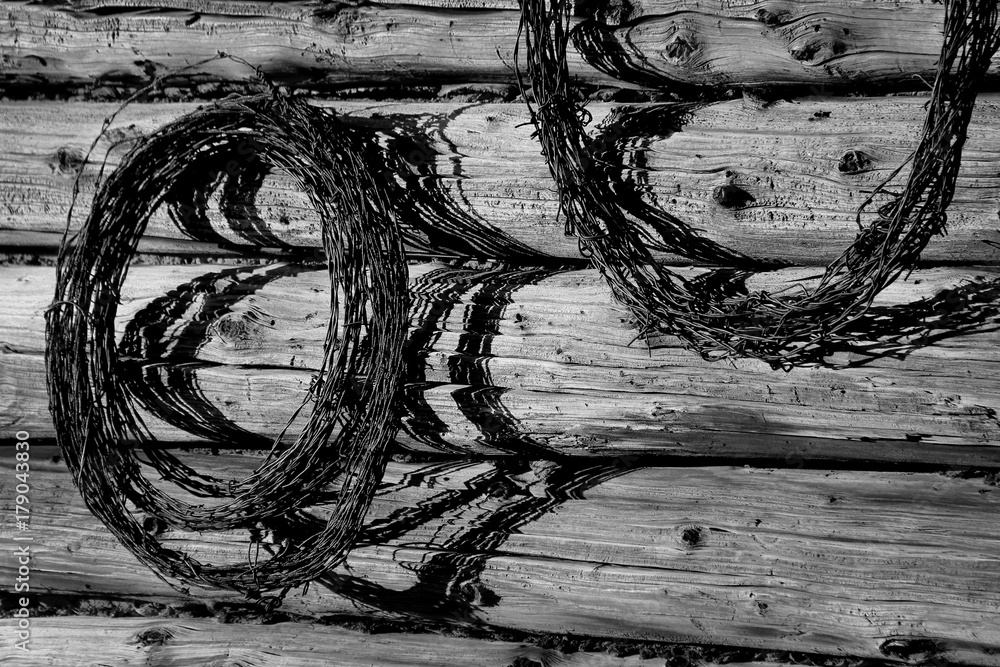Fototapeta premium Barbed Wire 