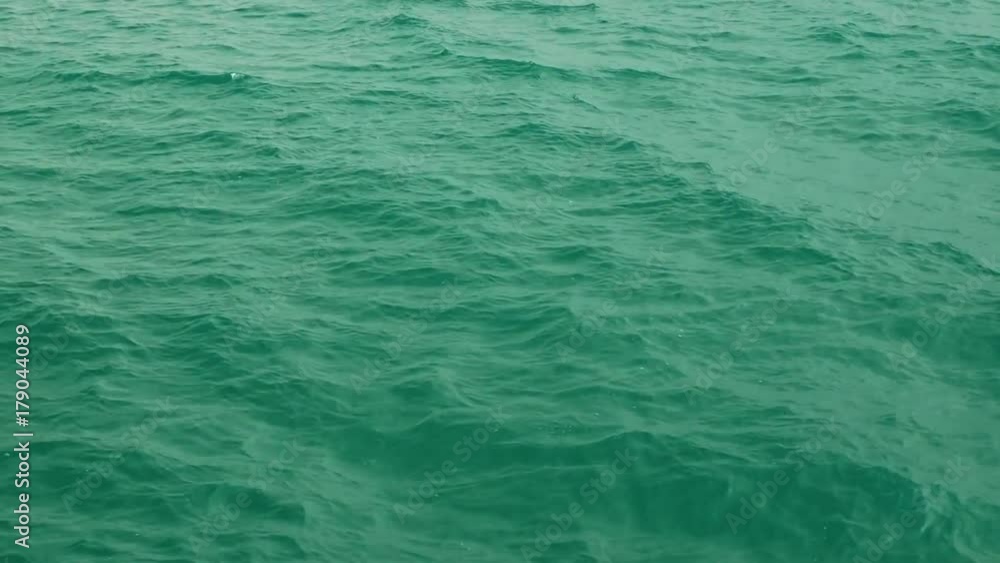 waves on the water surface waves on the water surface