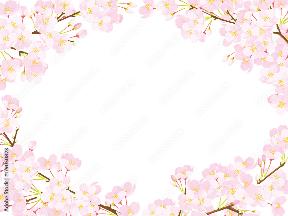 Fototapeta premium 桜 フレーム