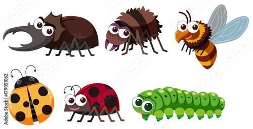 Different types of insects on white background © brgfx