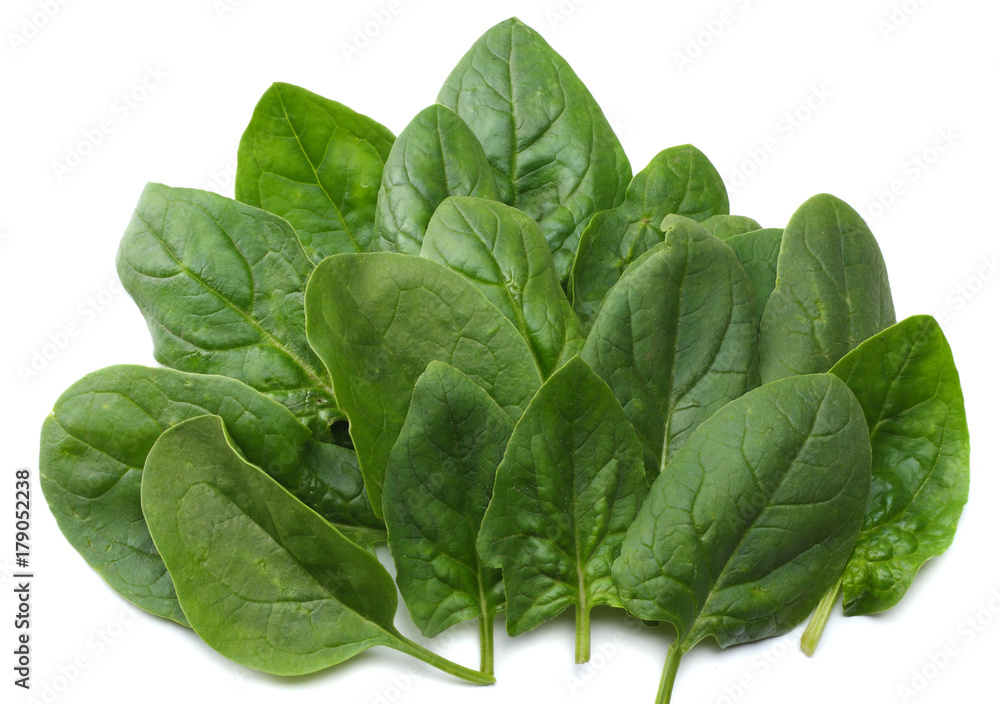 spinach leaves isolate on white background top view spinach leaves isolate on white background top view
