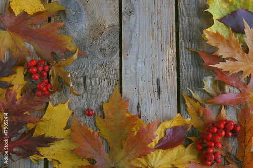 Autumn background, Maple leaves with chestnuts on a wooden table