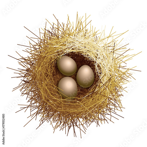 Vector birds nest with eggs. Top view