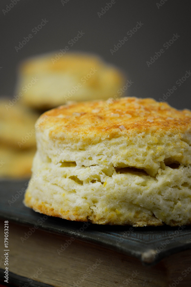 Biscuit Biscuit