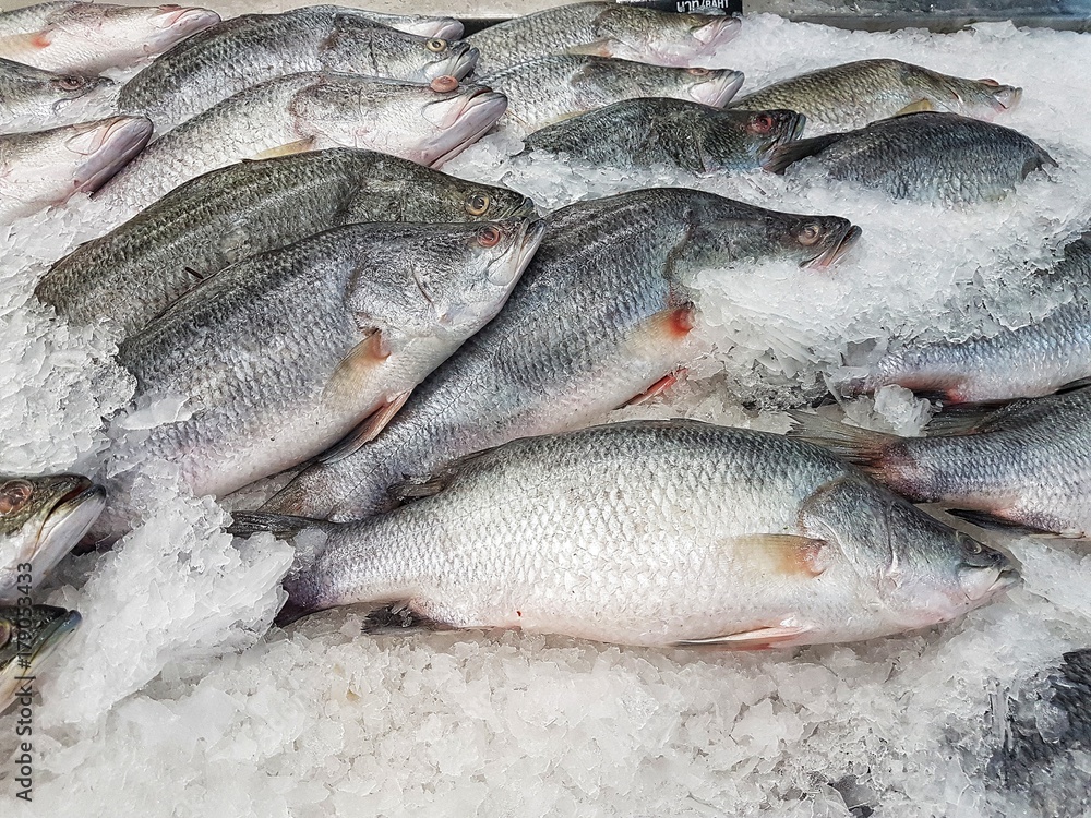 Snapper fish on ice sale in the market