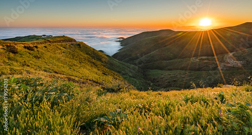 Fototapeta Naklejka Na Ścianę i Meble -  rolling fog