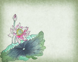 Chinese painting of a Lotus