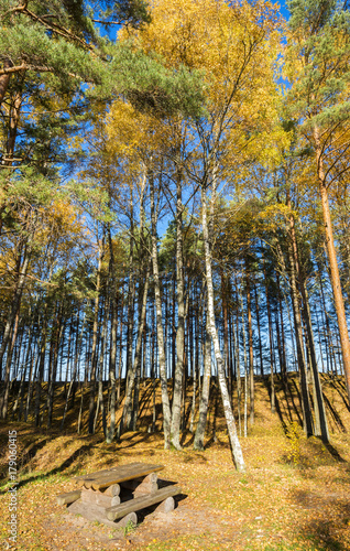 Autumn in nature reserve public park, Europe