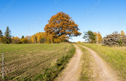 Countryside road in autumn, Europe