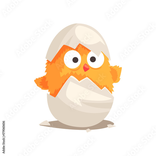 Funny yellow newborn chicken in broken egg shell