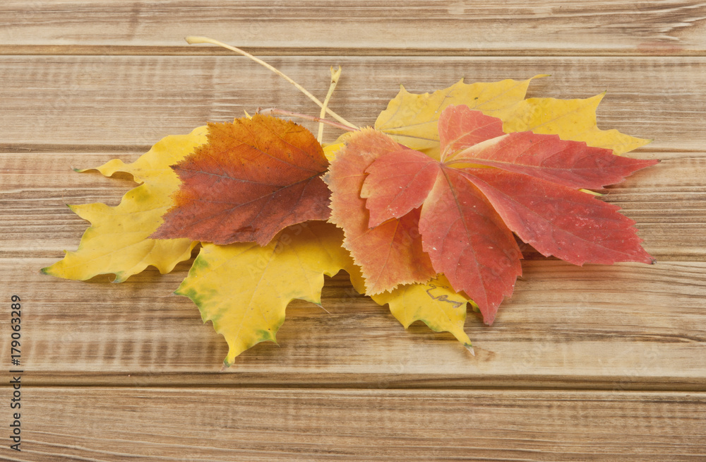 autumn leaves on a wooden background autumn leaves on a wooden background