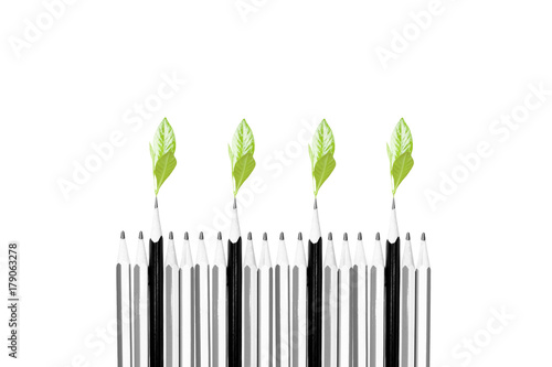 Environment conceptual tree sprouts on top of the pencils isolated