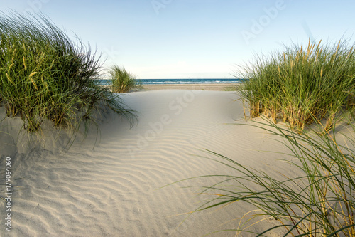 Fototapeta Naklejka Na Ścianę i Meble -  Beach with sand dunes and marram grass in soft evening sunset light.