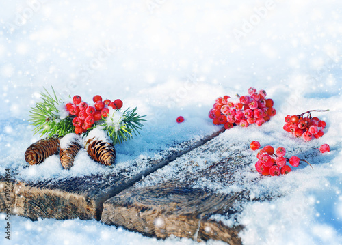 Spruce bumps with red ashberry on an old snow-covered table photo