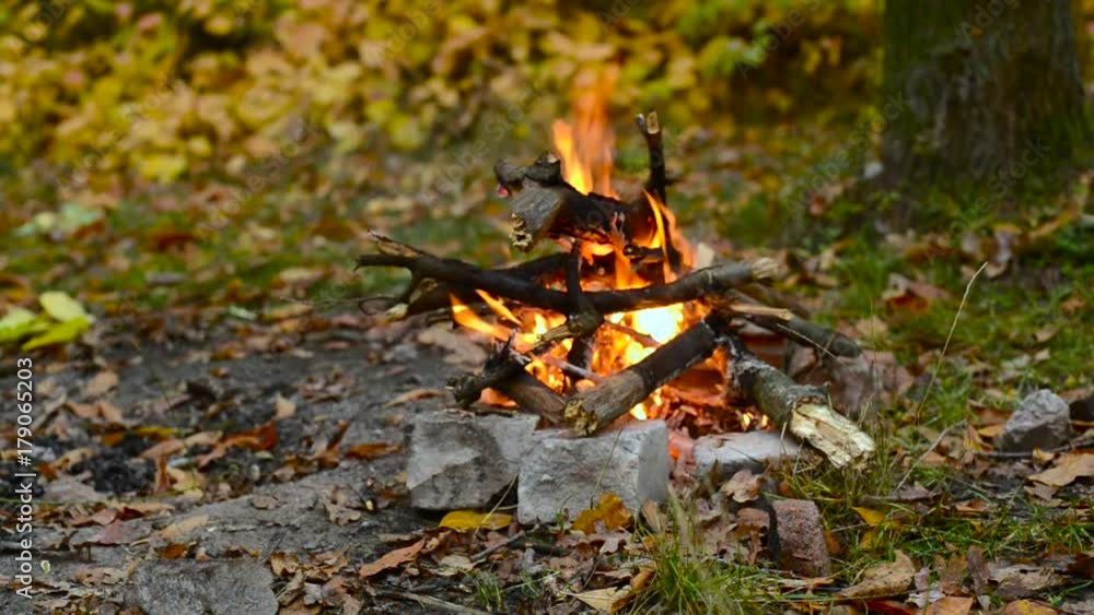 Bonfire on the meadow in the autumn forest. Recreation outdoor in a quiet autumn day. Bonfire on the meadow in the autumn forest. Recreation outdoor in a quiet autumn day.