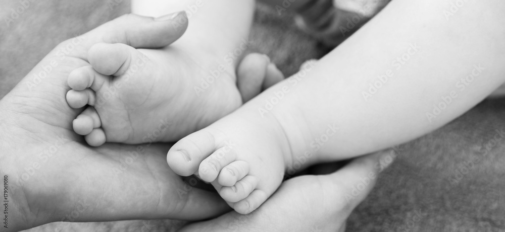 The panorama of baby feet in mother hand. concept of happy family and family support, black and white photo The panorama of baby feet in mother hand. concept of happy family and family support, black and white photo