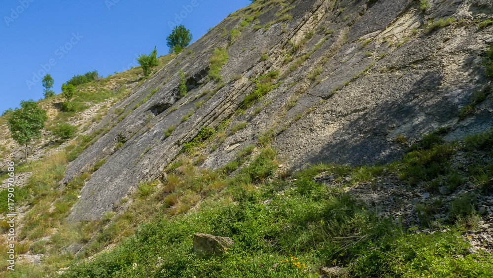Vertical layers of sedimentary rocks