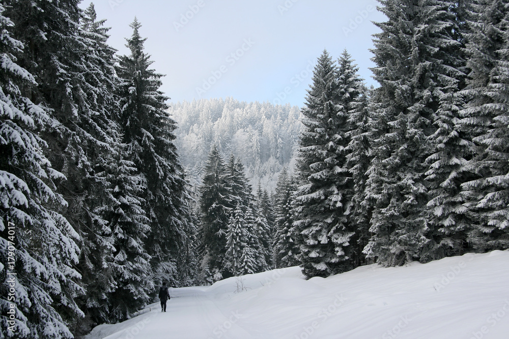 Fototapeta premium Winterwandern
